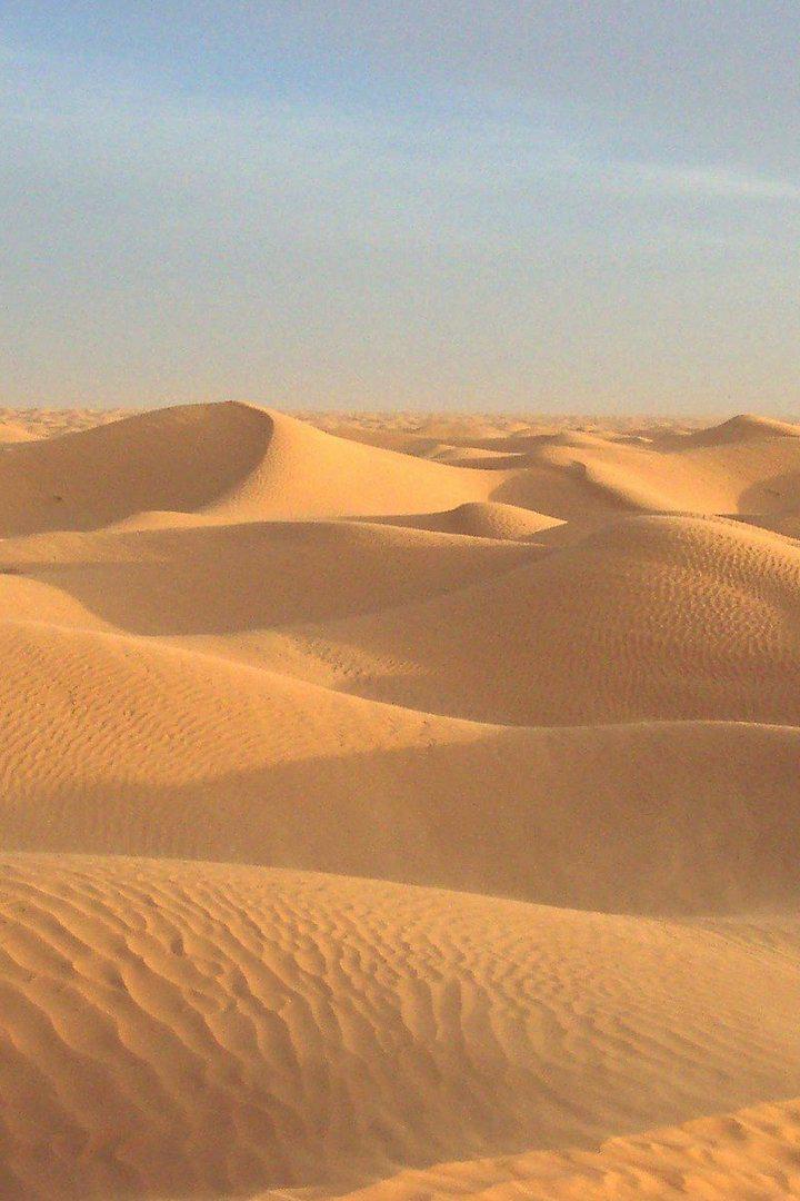 Музыка пустыни