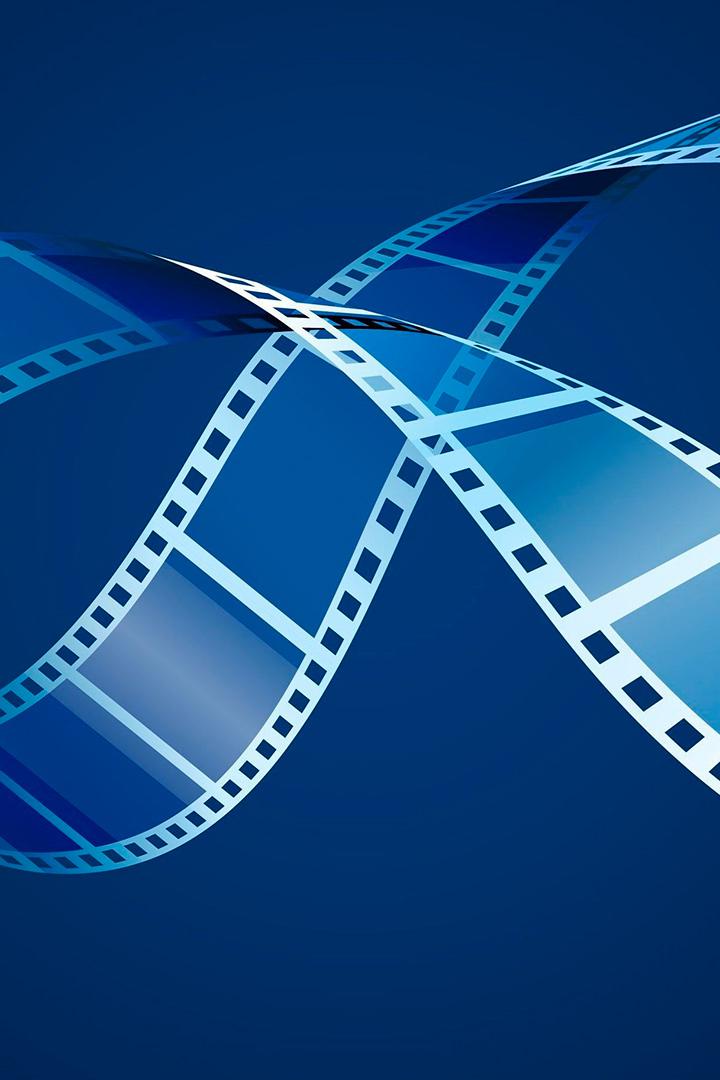 Дикая жизнь