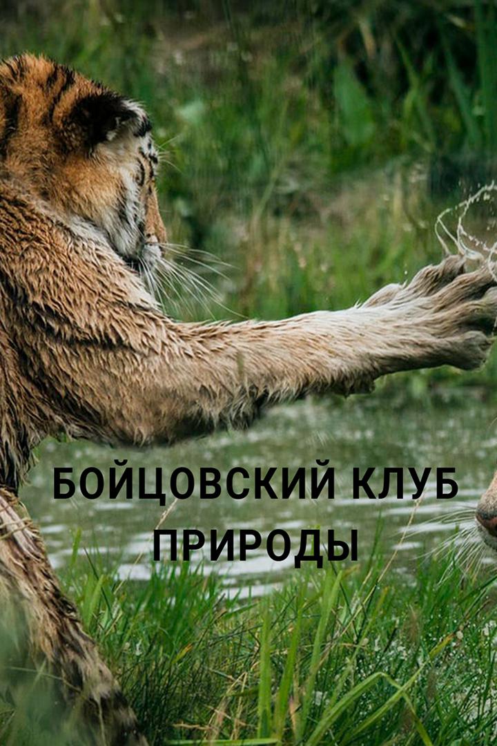 Бойцовский клуб природы