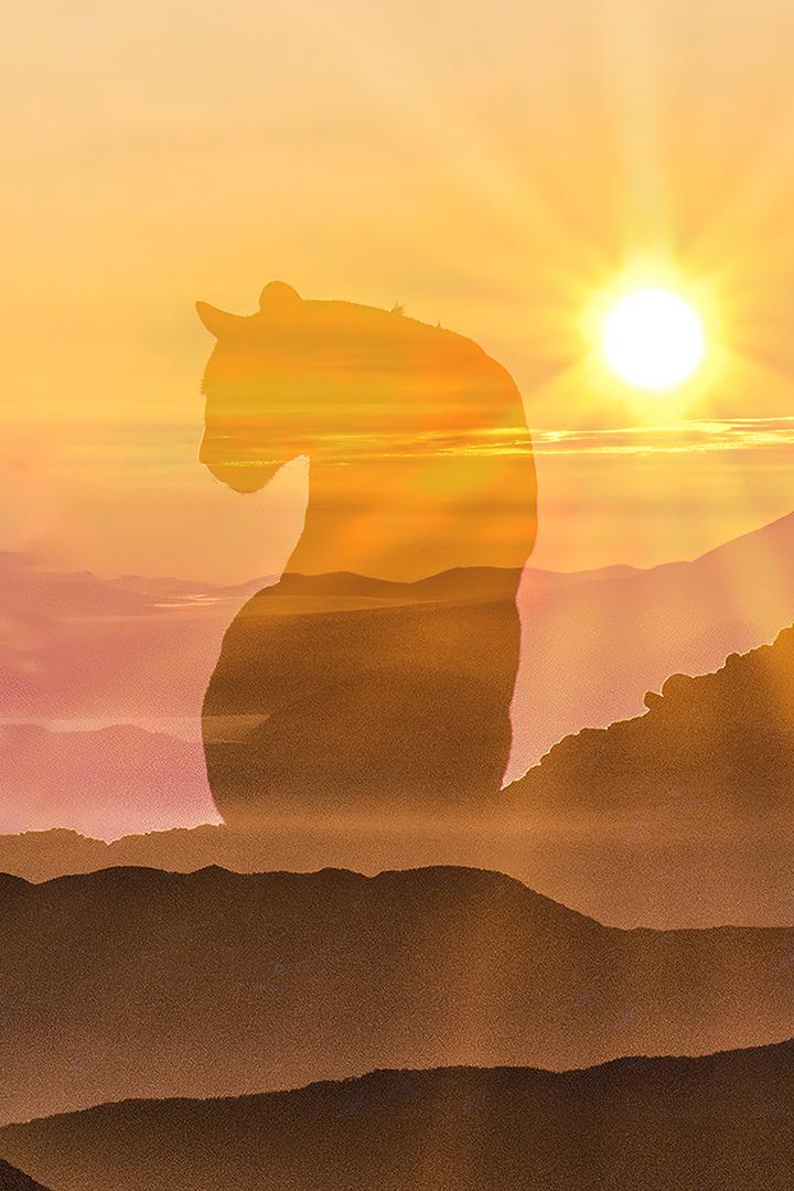 Эра больших кошек