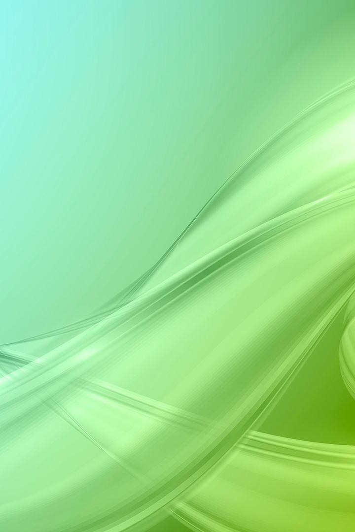 Шер и одинокий слон.