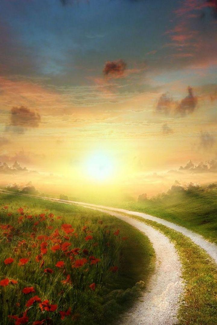 Затерянные пути