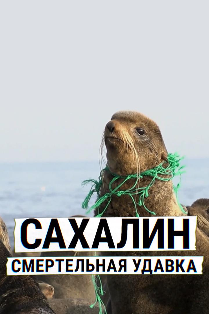 Сахалин. Смертельная удавка