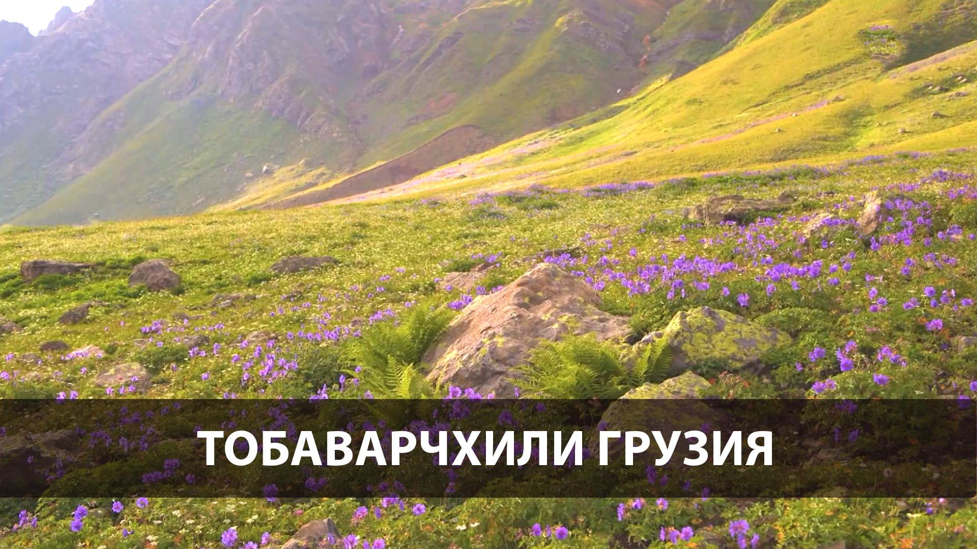 Тобаварчхили Грузия