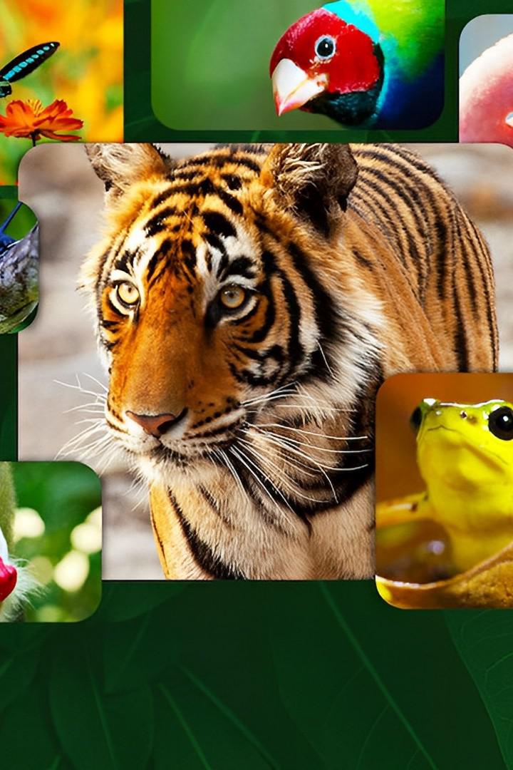 Жизнь в цвете с Дэвидом Аттэнборо