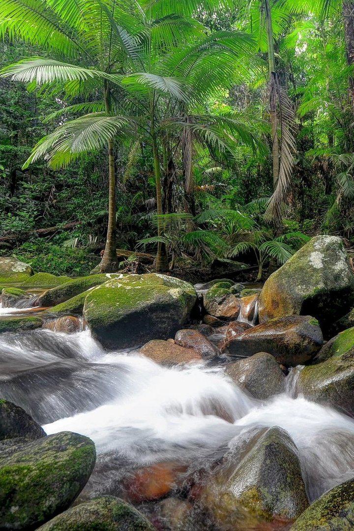 Природные чудеса Дэйнтри