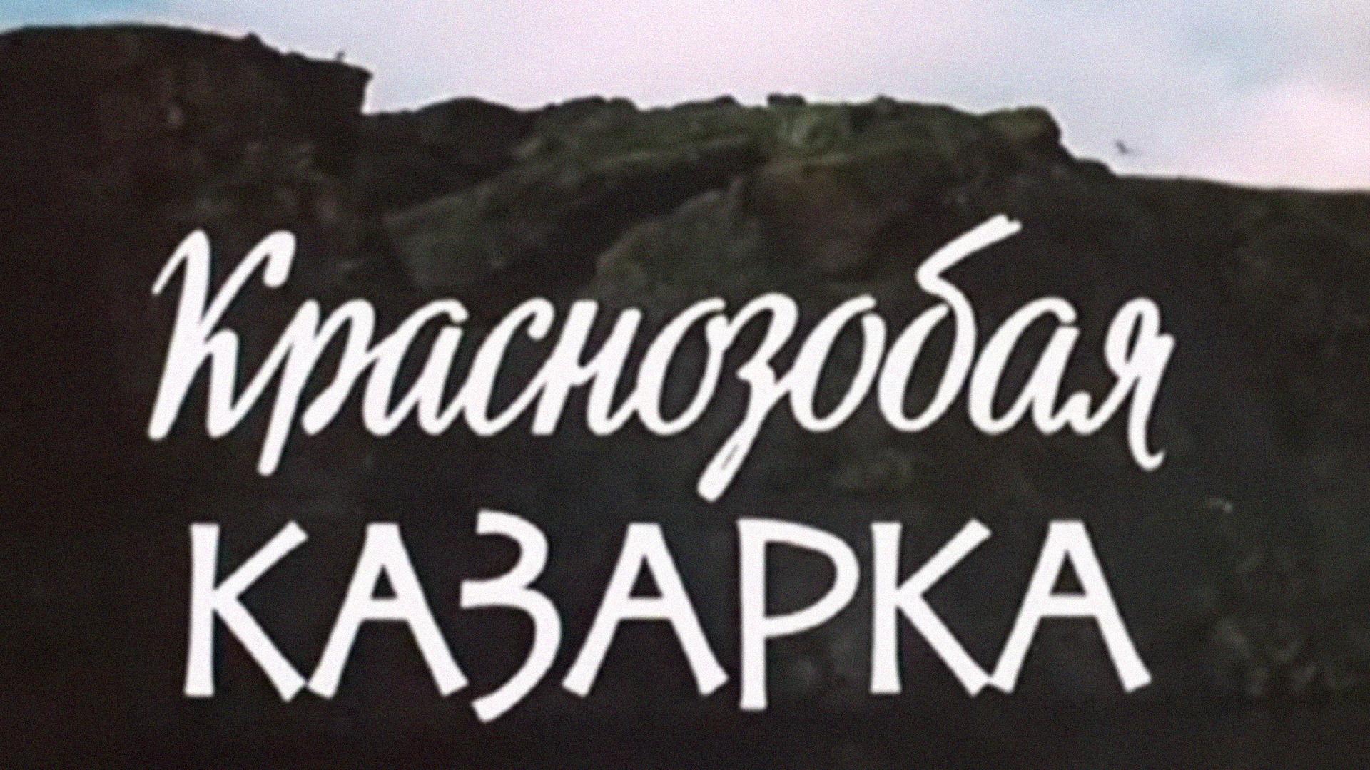 Краснозобая казарка