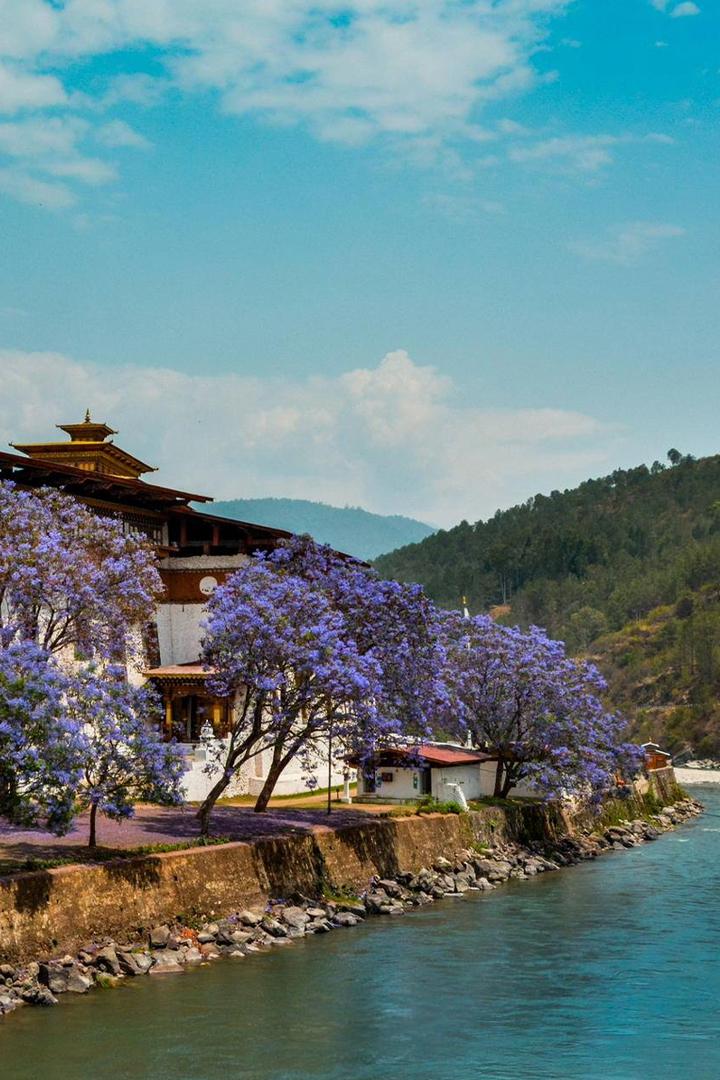 Чем заняться в Бутане