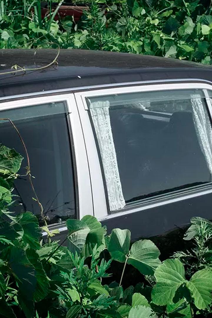 Фукусима: природа в зоне катастрофы