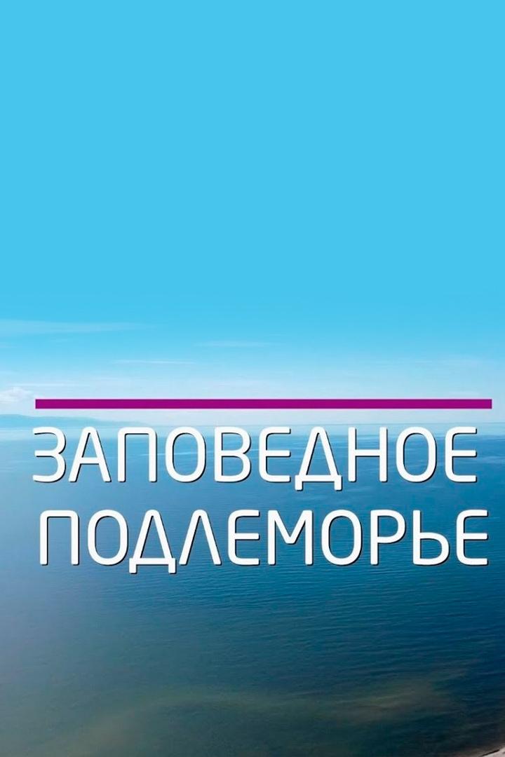 Заповедное подлеморье