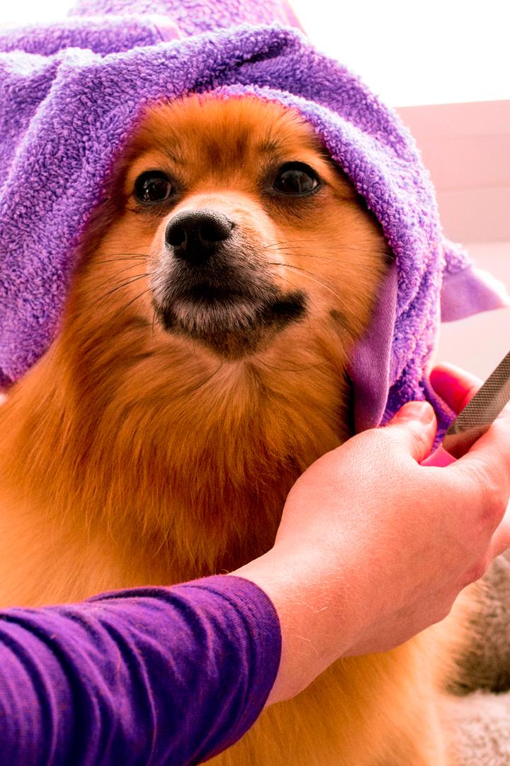 Настоящий гла-муррр