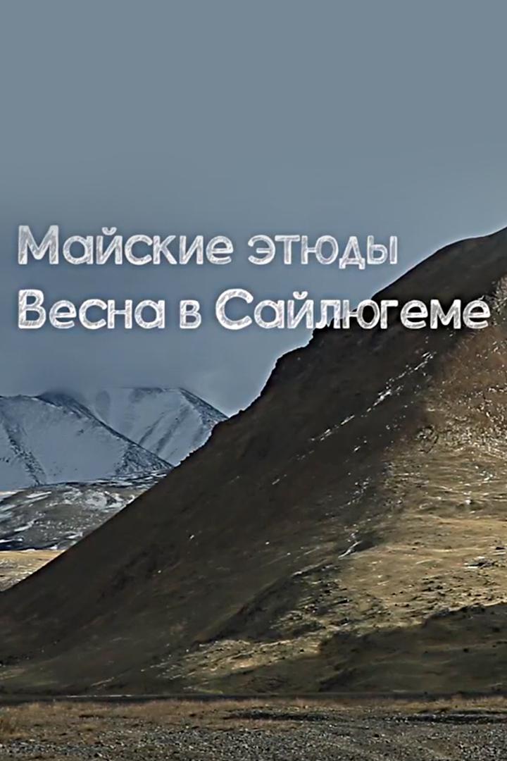 Майские этюды. Весна в Сайлюгеме