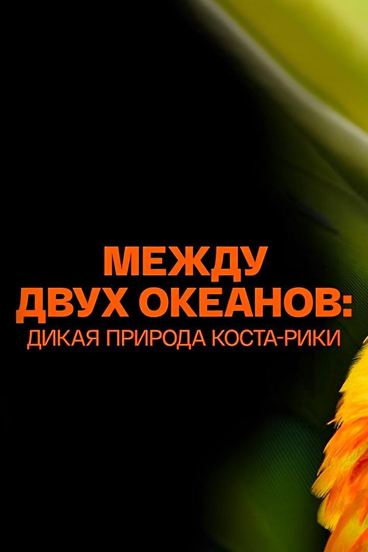 Между двух океанов: дикая природа Коста-Рики