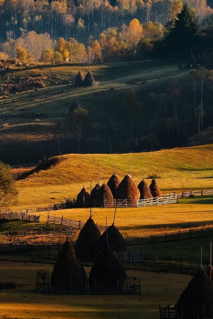 Природа Румынии