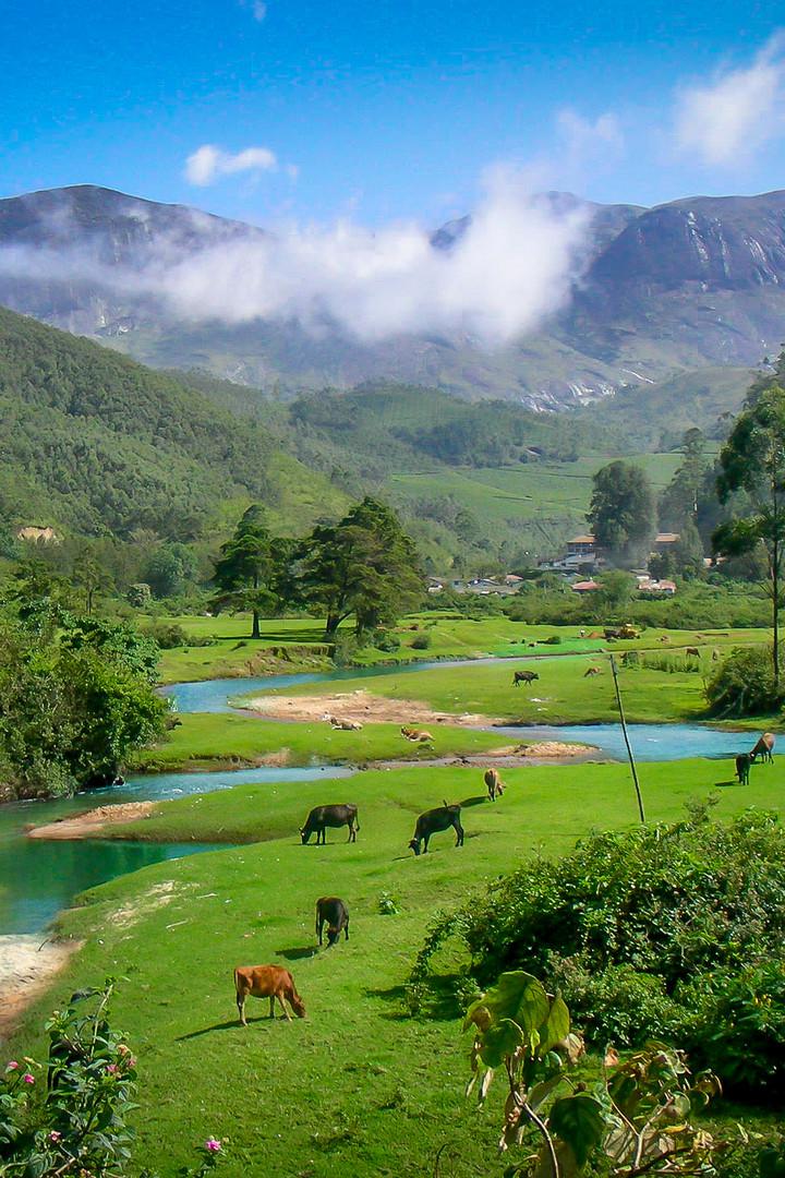 Природа Индии