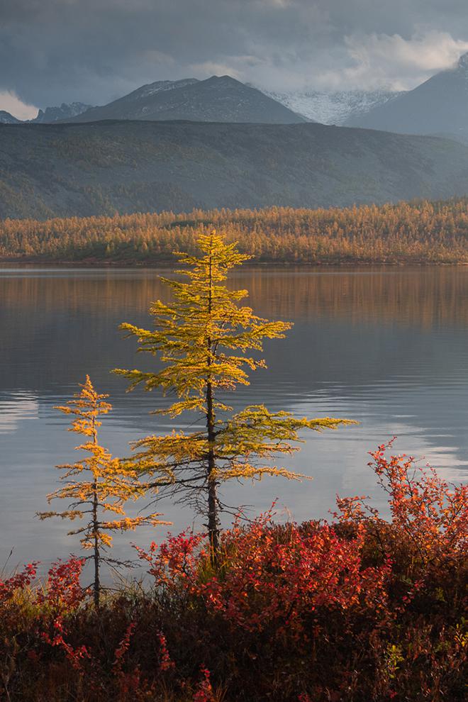 Протока Вариантов