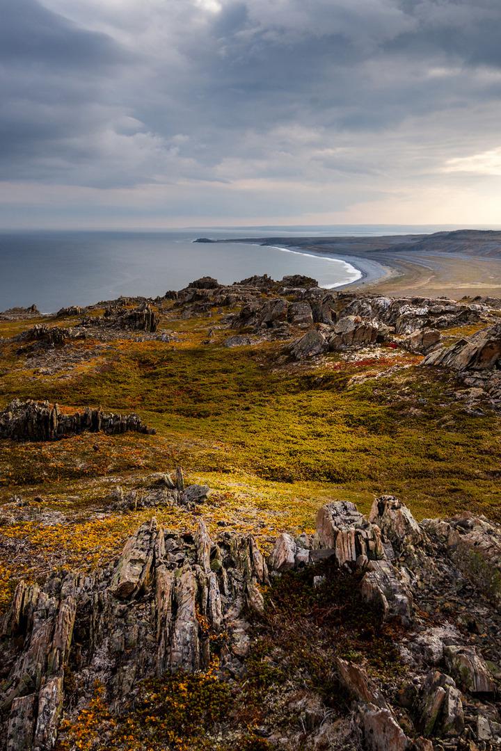 На багги по Кольскому - Эрика Кавайи