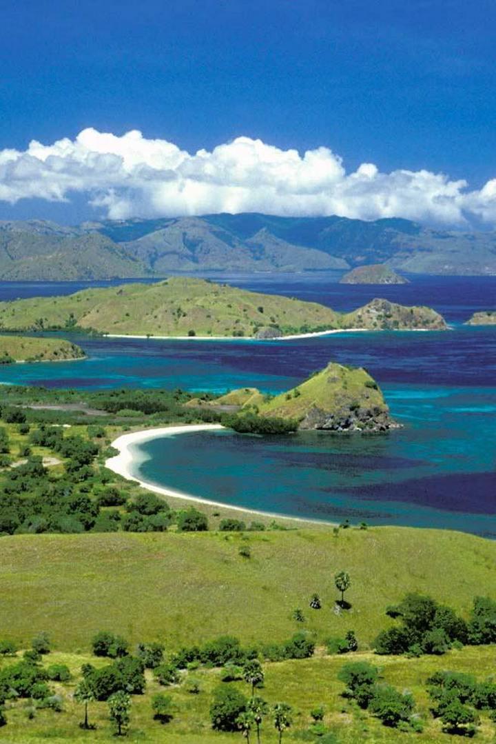 Индонезия: остров Комодо