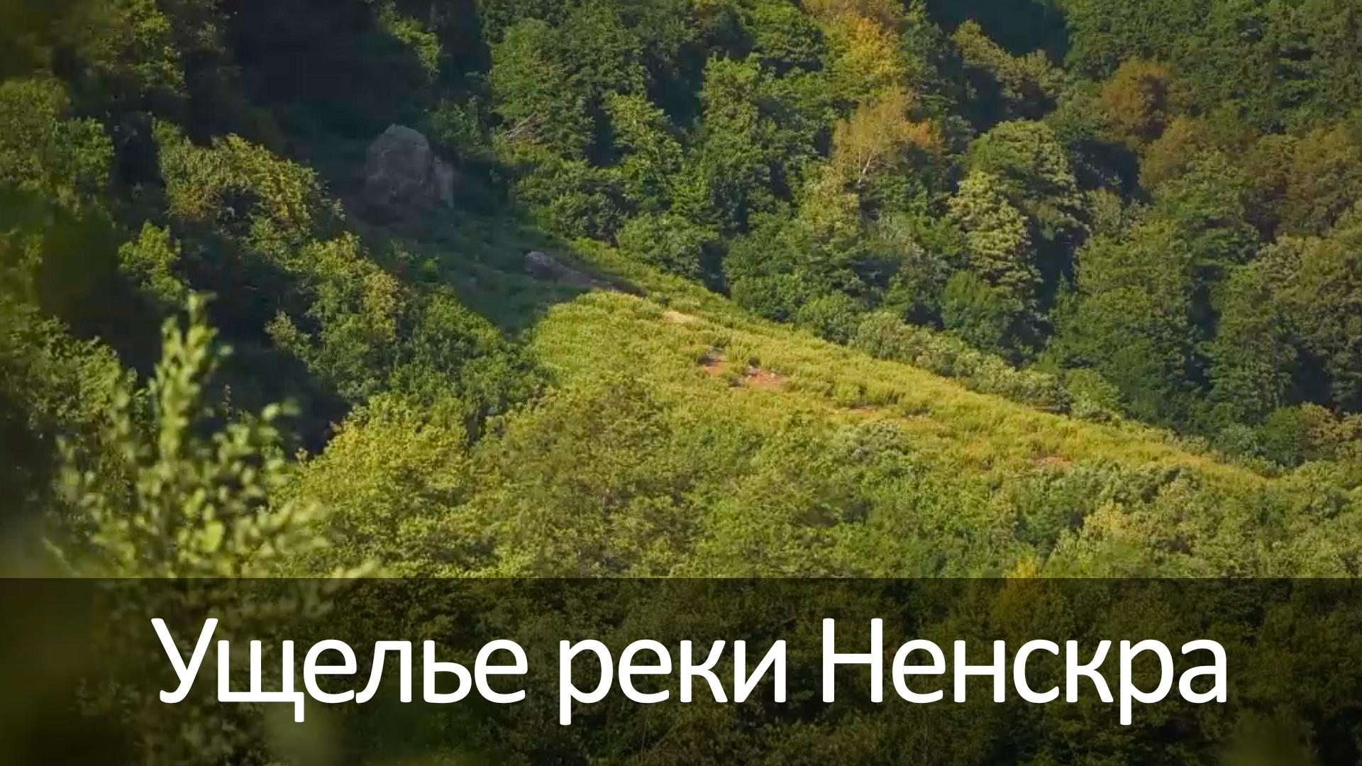 Ущелье реки Ненскра