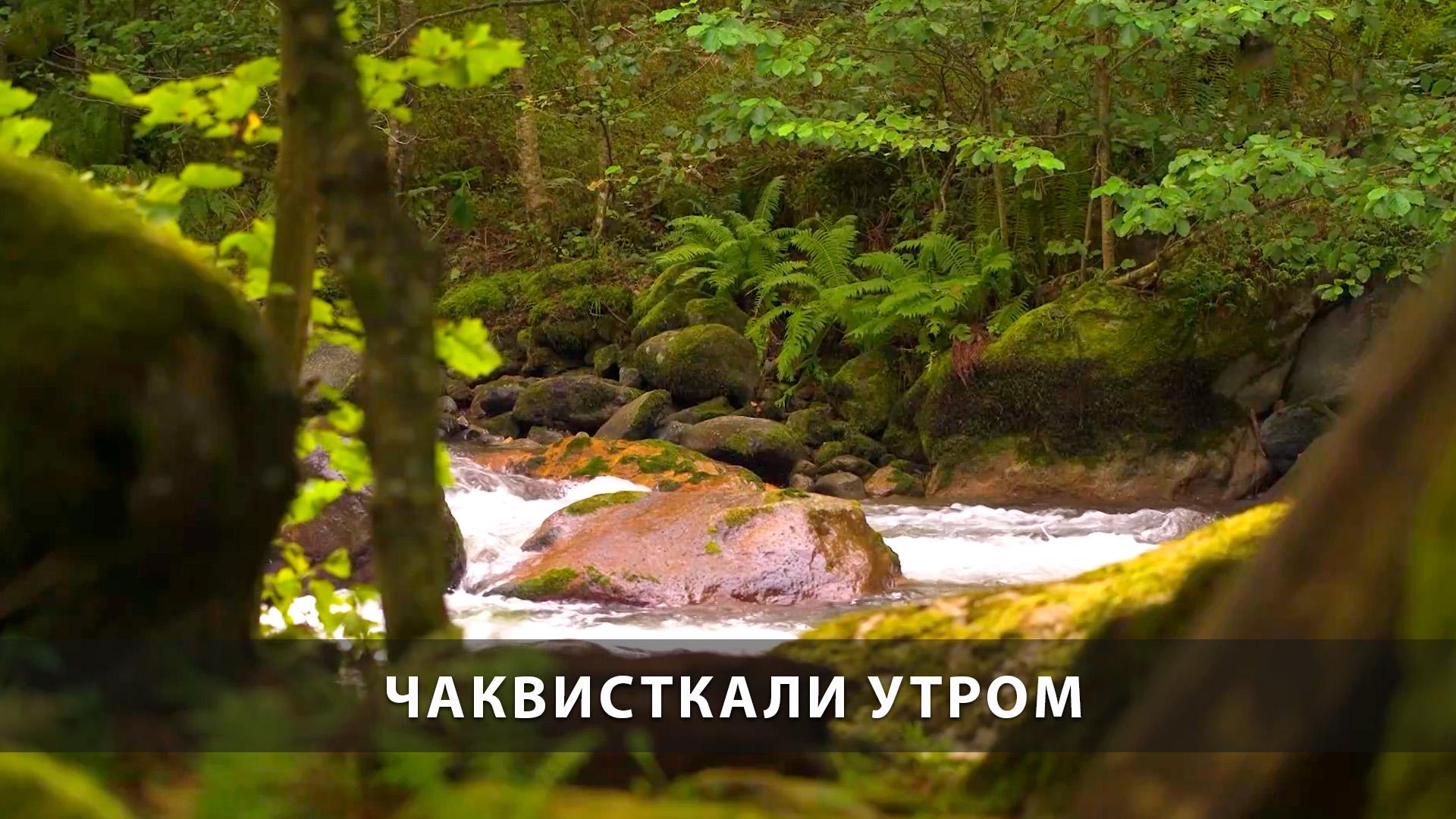 Чаквисткали утром