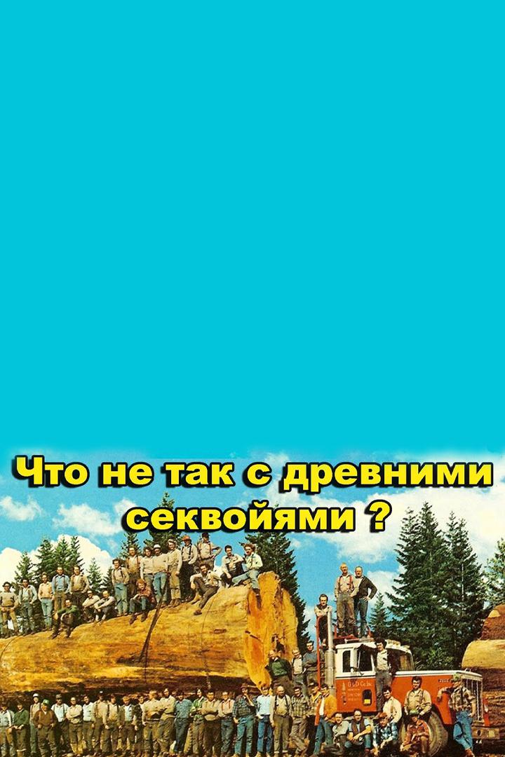 Что не так с древними секвойями Калифорнии?
