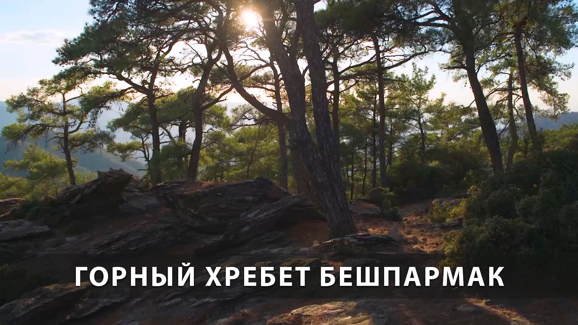 Горный хребет Бешпармак