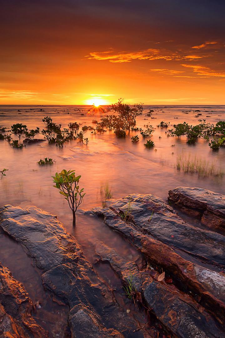 Австралия: выживание в экстремальных условиях