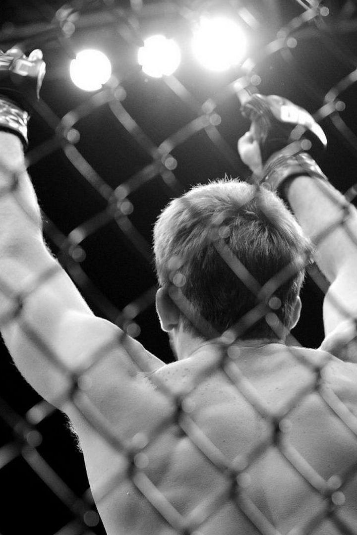 Шоу The Old Guard Fight Club Divizion 8 (MMA и муай-тай, профессионалы)