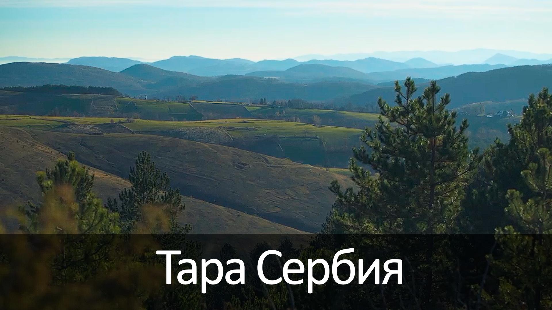 Тара Сербия