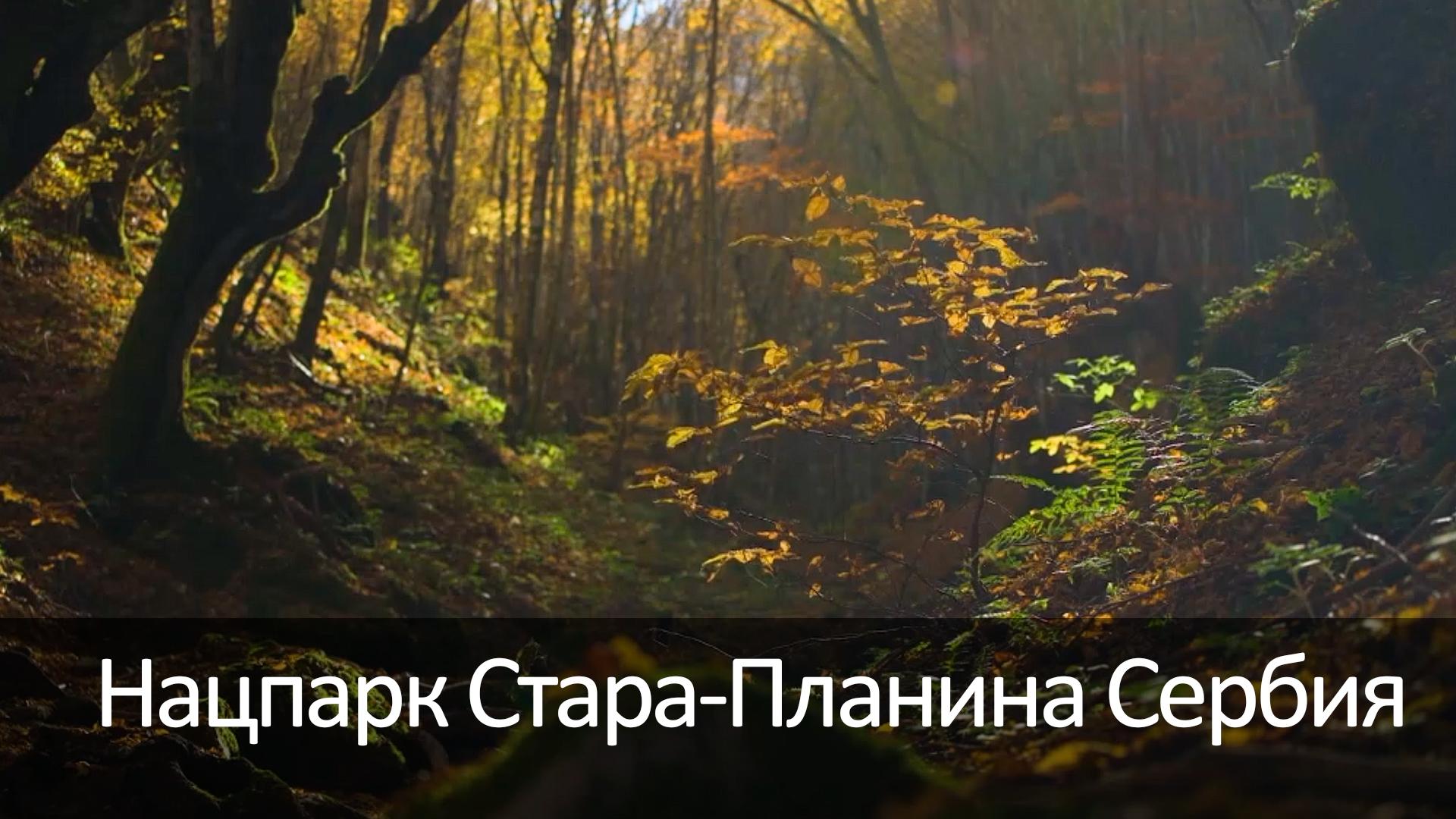 Нацпарк Стара-Планина Сербия