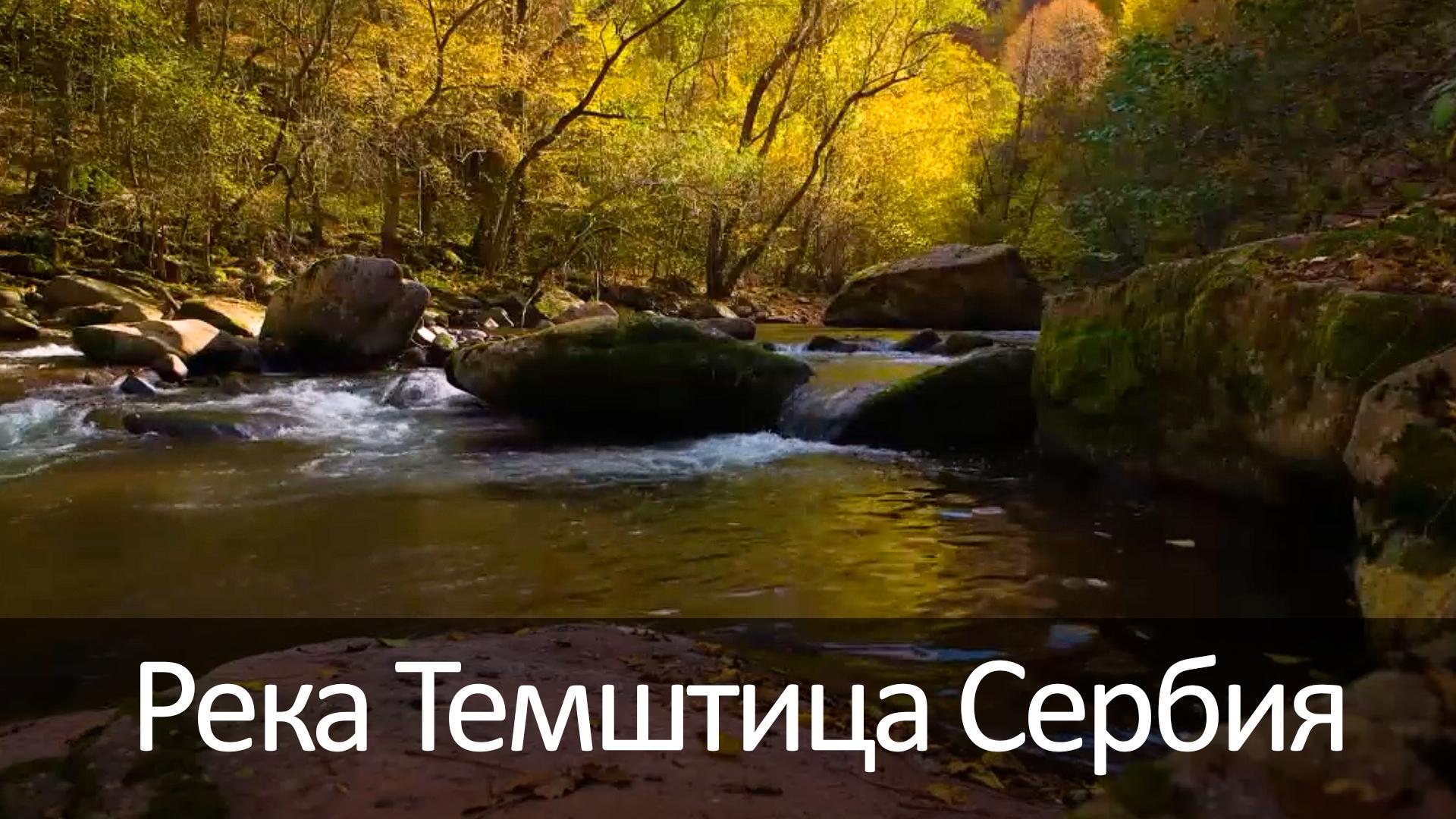 Река Темштица Сербия