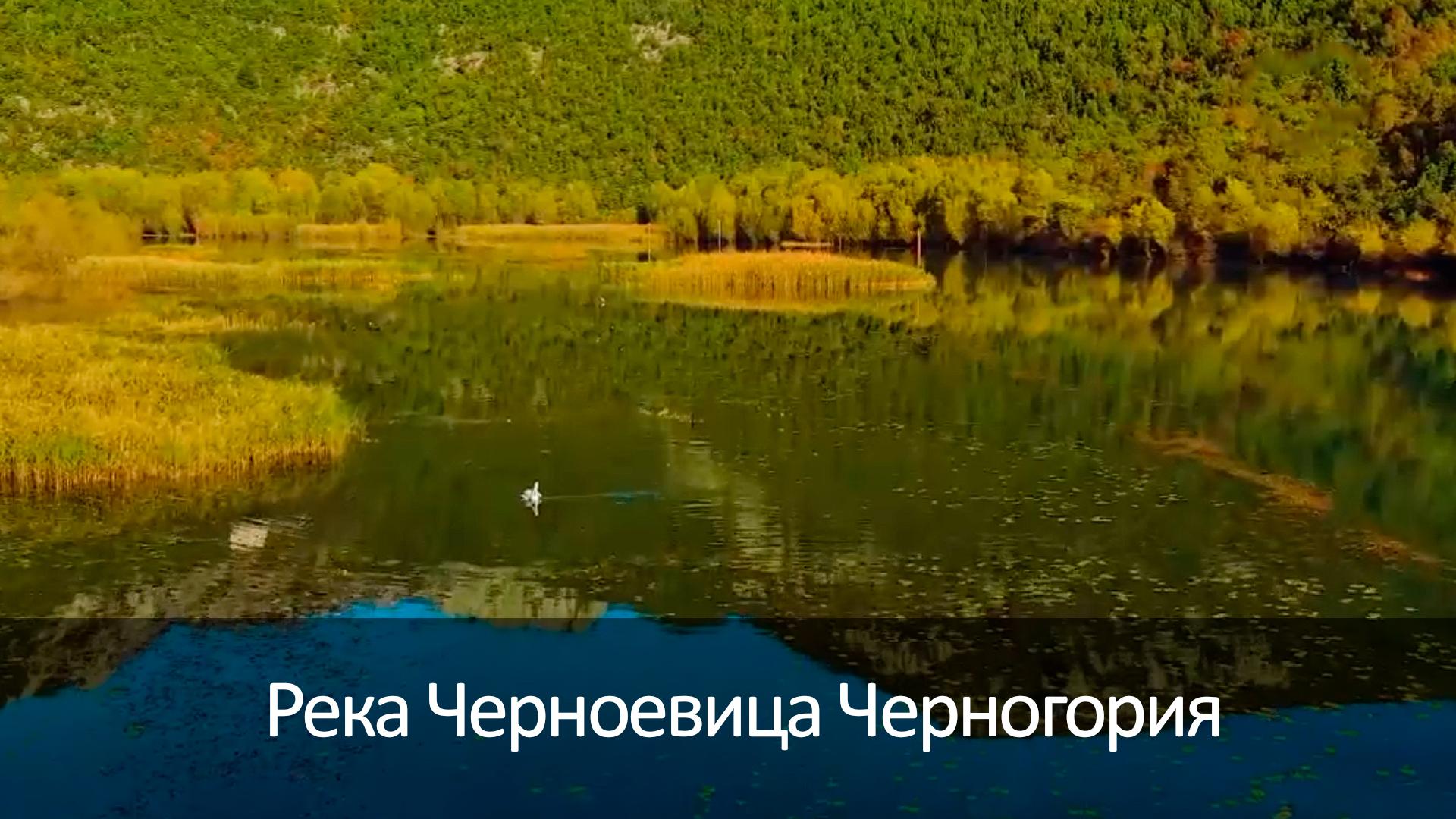 Река Черноевица Черногория