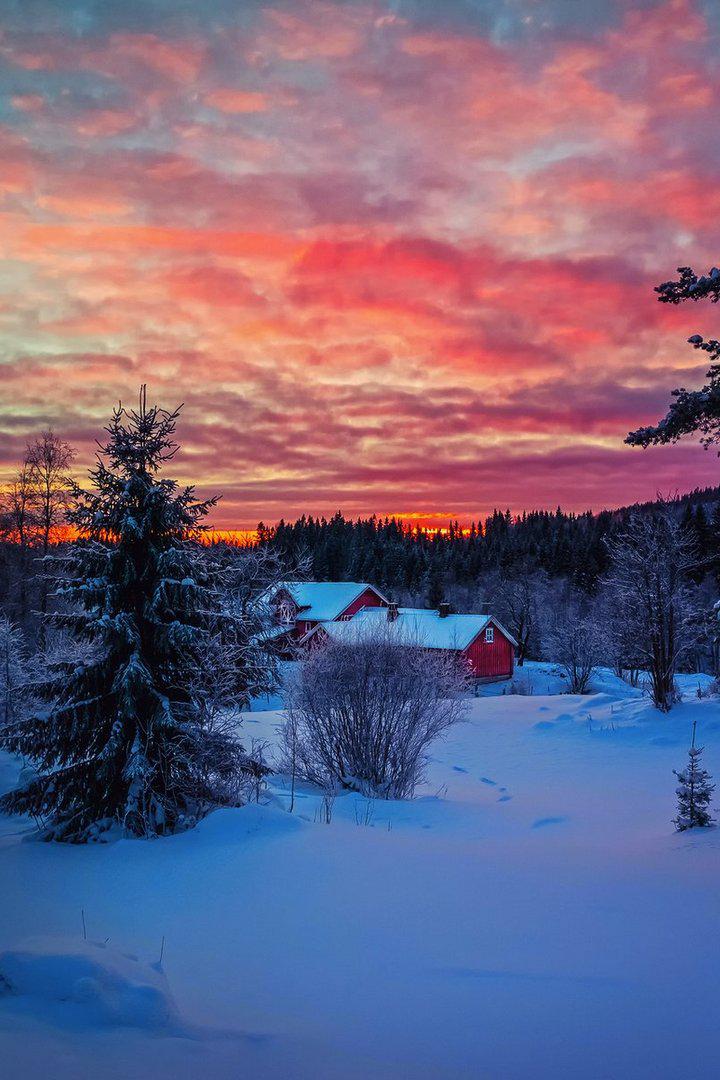 Зимние пейзажи