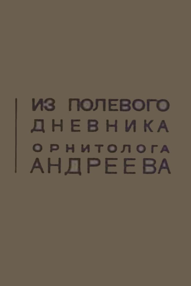 Из полевого дневника орнитолога Андреева