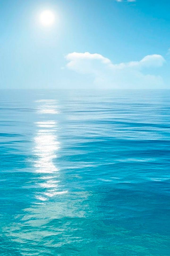 Загадки океана