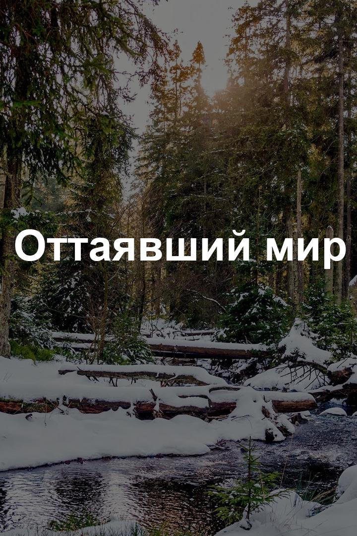 Оттаявший мир