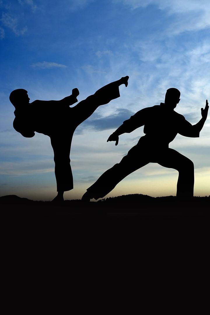 Юношеские игры боевых искусств - финалы (любители)