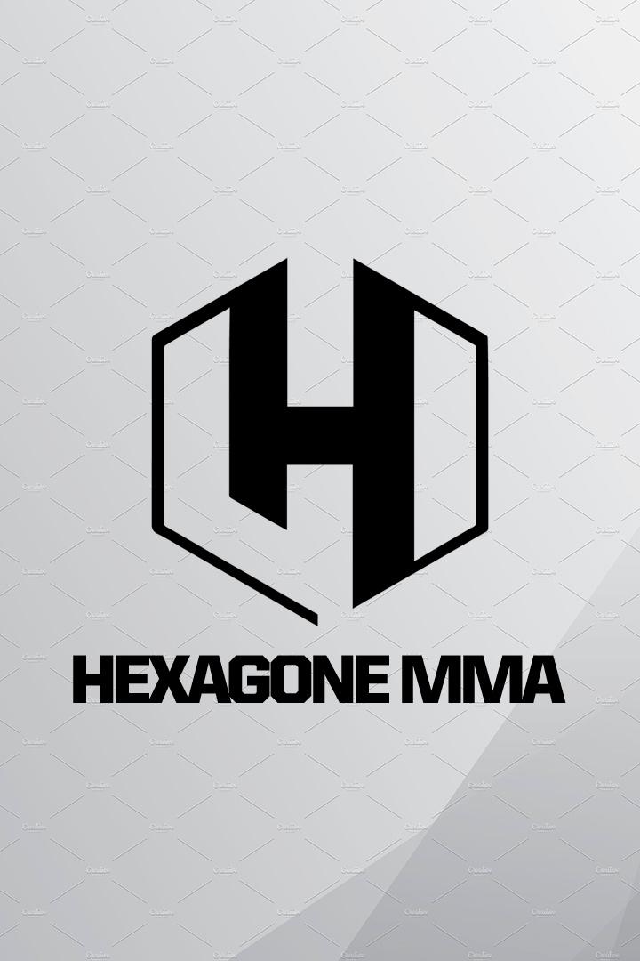 Смешанные единоборства. HEXAGONE MMA 6. Летиция Блот против Эрнесты Кареккайте. Крис Фишголд против Язида Чучанэ