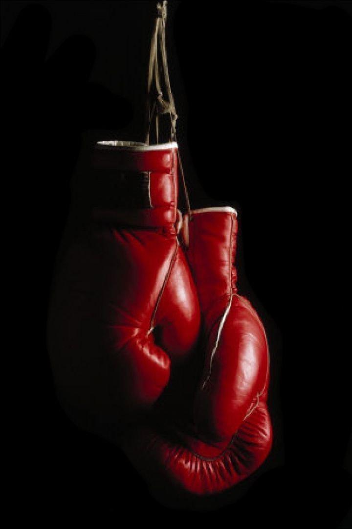 Шоу RCC 10 (ММА и кикбоксинг, профессионалы)