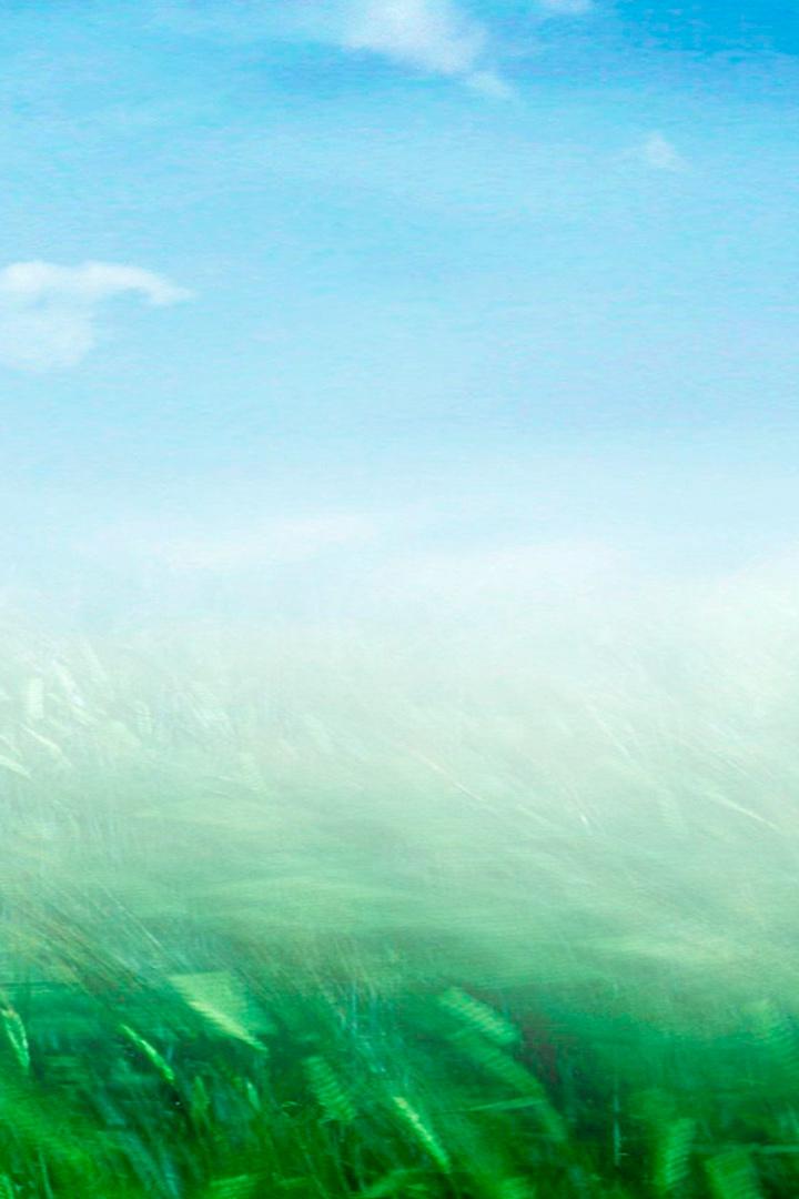 Родимый край