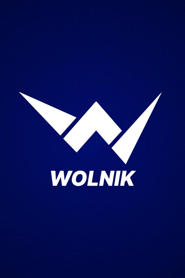 Борьба. Лига борьбы WOLNIK. Шамиль Амиров против Александра Яковлева. Нюргун Скрябин против Ахмеда Чакаева