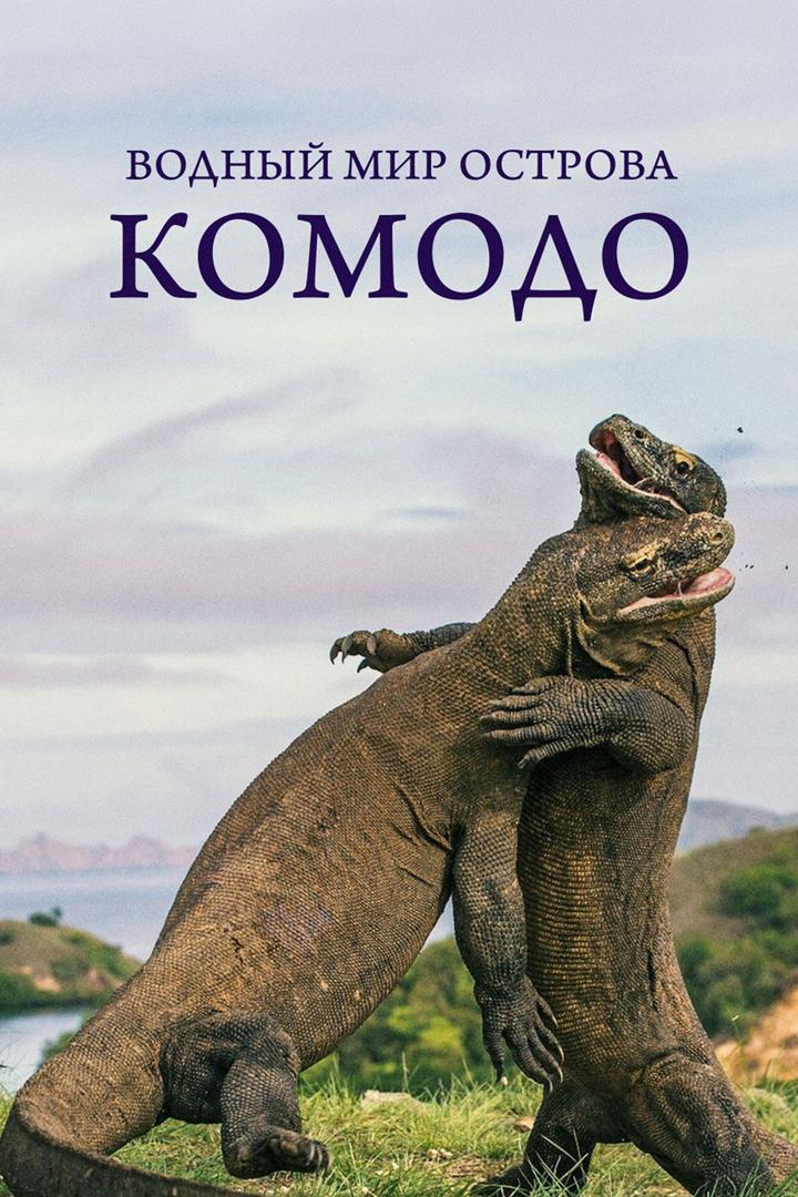 Водный мир острова Комодо