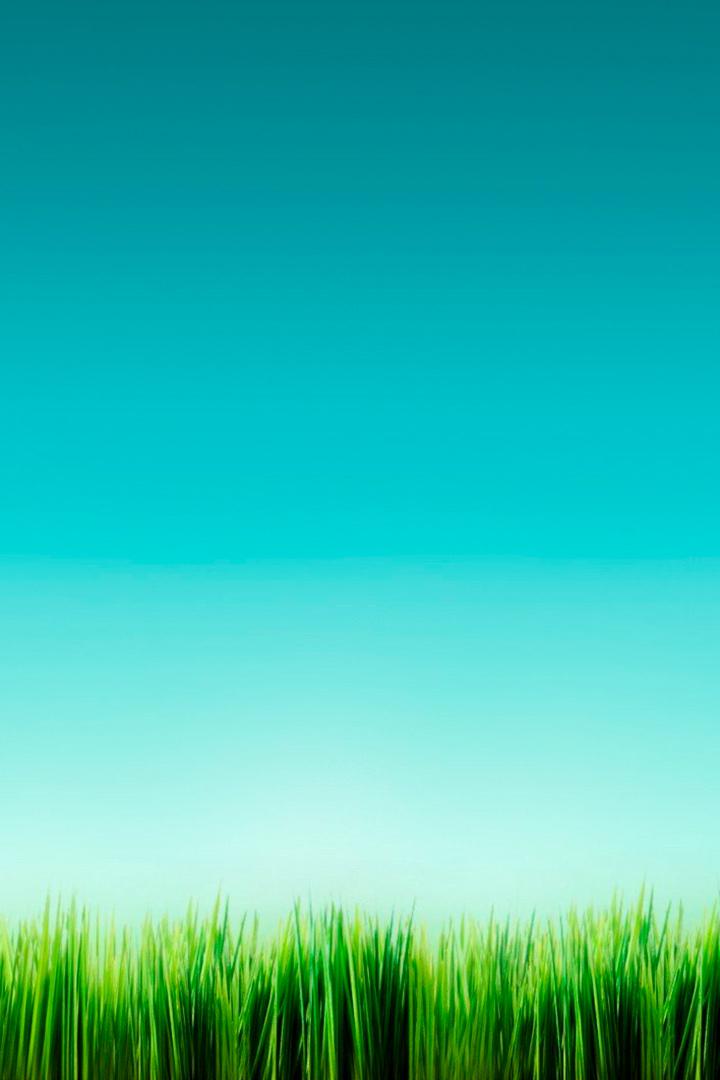 Живые беседы