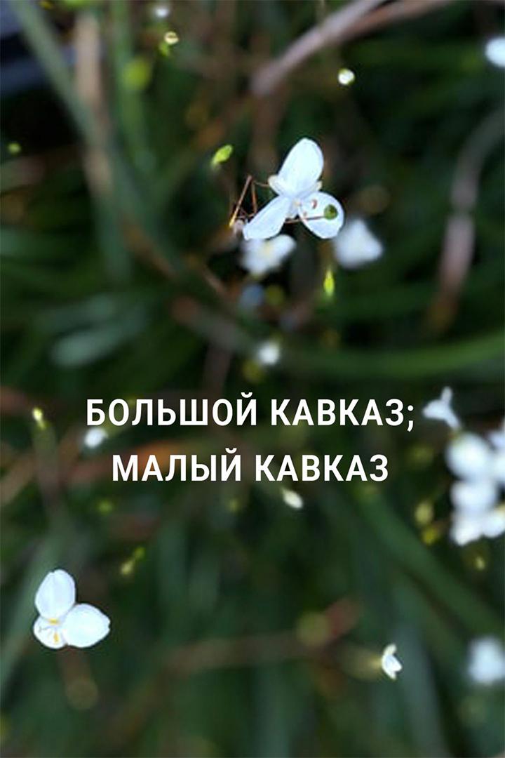 Большой Кавказ; Малый Кавказ