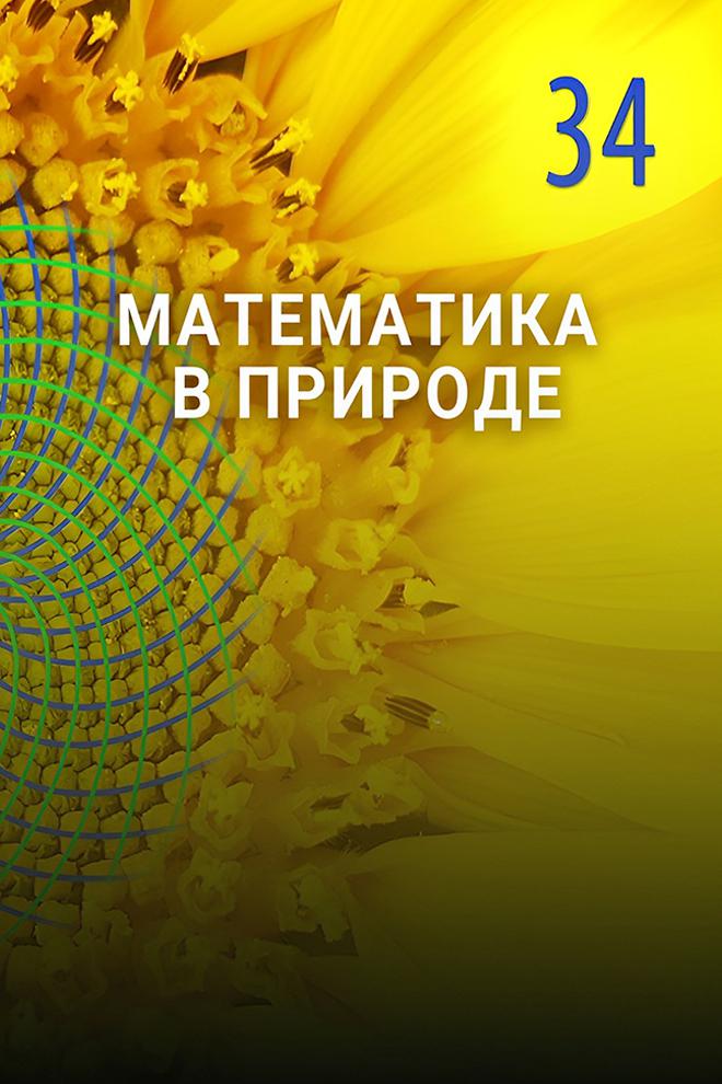 Математика в природе