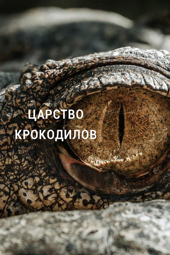 Царство крокодилов