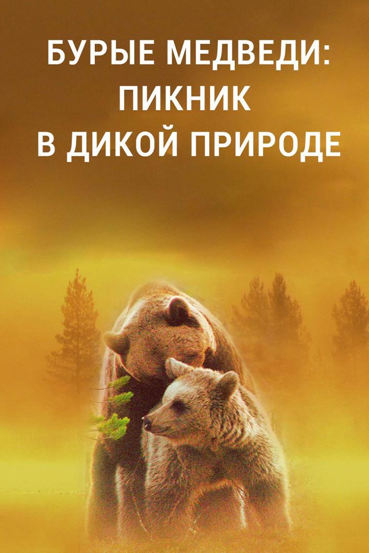 Бурые медведи: пикник в дикой природе
