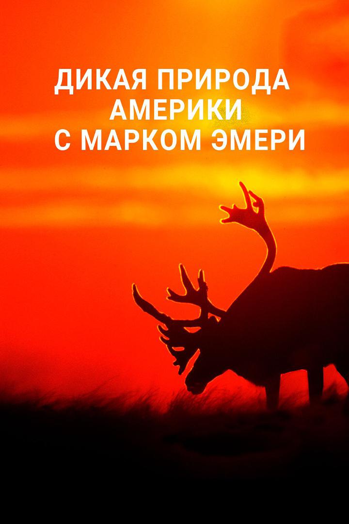Дикая природа Америки с Марком Эмери
