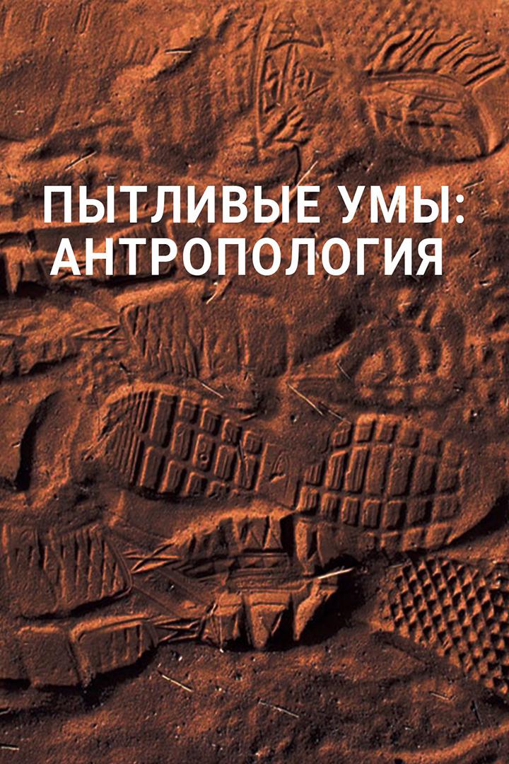 Пытливые умы: Антропология