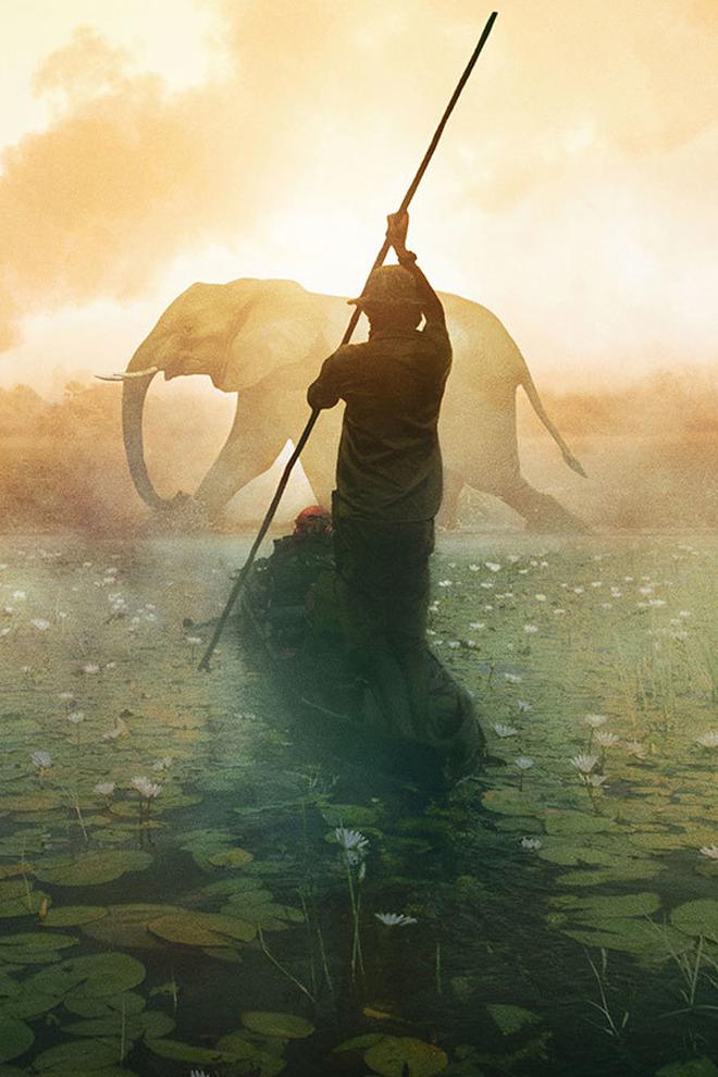 Под водами Окаванго